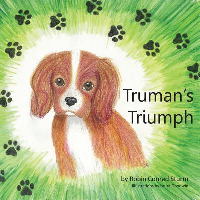 Truman's Triumph - Sturm, Robin Conrad