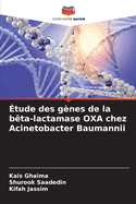 ?tude des g?nes de la b?ta-lactamase OXA chez Acinetobacter Baumannii