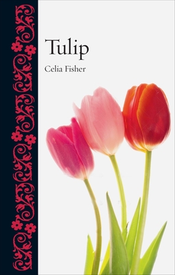 Tulip - Fisher, Celia
