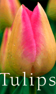 Tulips - Appell, Scott D (Introduction by)