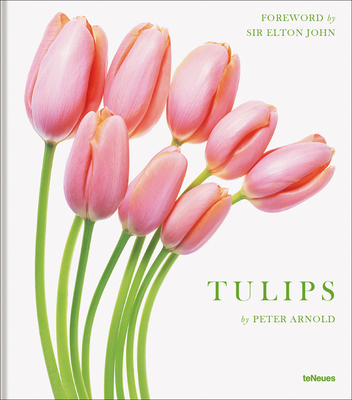 Tulips - Arnold, Peter