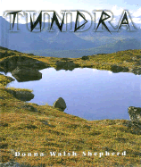 Tundra