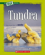 Tundra