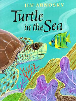 Turtle in the Sea - Arnosky, Jim