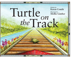 Turtle on the Track