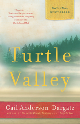 Turtle Valley - Anderson-Dargatz, Gail