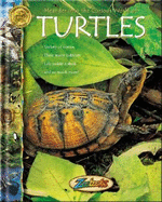 Turtles - Wexo, John B