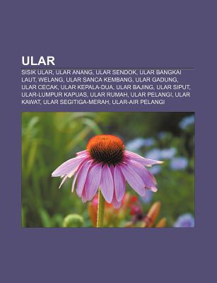 Ular Sisik Ular Ular Anang Ular Sendok Ular Bangkai Laut
