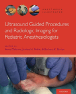 Ultrasound AI P