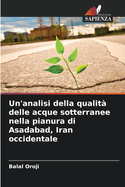 Un'analisi della qualit delle acque sotterranee nella pianura di Asadabad, Iran occidentale