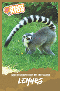 Unbelievable Pictures and Facts About Lemurs