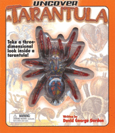 Uncover a Tarantula: Take a Three-Dimensional Look Inside a Tarantula!