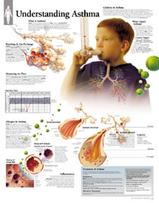 Understanding Asthma - Scientific Publishing