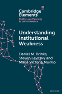Understanding Institutional Weakness: Power and Design in Latin American Institutions