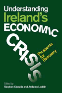 Understanding Ireland's Economic Crisis: Prospects for Recovery