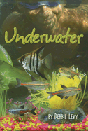 Underwater - Levy, Debbie