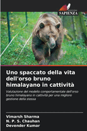 Uno spaccato della vita dell'orso bruno himalayano in cattivit