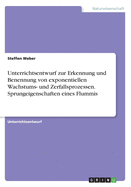 Unterrichtsentwurf Zur Erkennung Und Benennung Von Exponentiellen Wachstums- Und Zerfallsprozessen. Sprungeigenschaften Eines Flummis