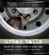 Urban Tails: Inside the Hidden World of Alley Cats