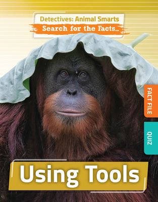 Using Tools - O'Daly, Anne