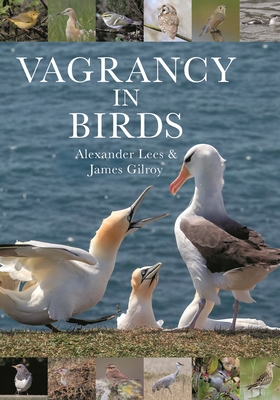 Vagrancy in Birds - Lees, Alexander, and Gilroy, James