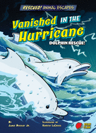 Vanished in the Hurricane: Dolphin Rescue!