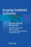 Vasoplegic Endothelial Dysfunction: Circulatory Shock and Methylene Blue