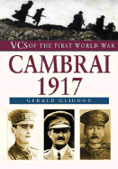Vcs of the First World War: Cambrai 1917