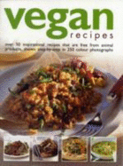 Vegan Recipes - 