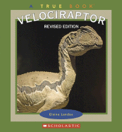 Velociraptor