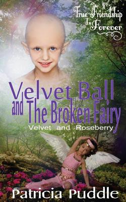 Velvet Ball and The Broken Fairy - Puddle, Patricia