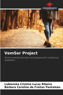 VemSer Project