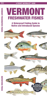 Vermont Freshwater Fishes: A Waterproof Folding Guide to Native and Introduced Species