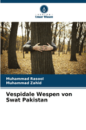 Vespidale Wespen von Swat Pakistan