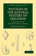 Vestiges of the Natural History of Creation: Together with Explanations: A Sequel