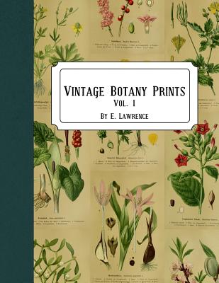 Vintage Botany Prints: Vol. 1 - Lawrence, E