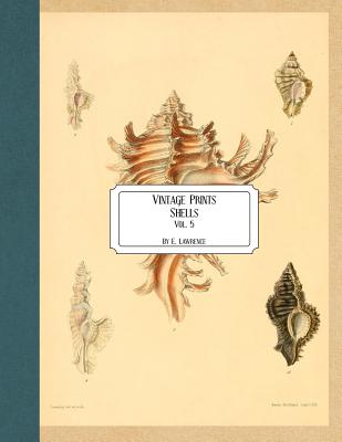 Vintage Prints: Shells: Vol. 5 - Lawrence, E