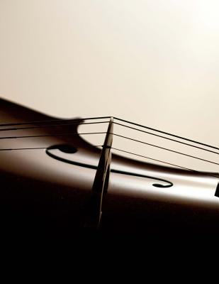 Violin Cover Design Blank Music Composition Notebook: Blank Sheet Music Composition Practice Music Manuscript Staff Paper Notebook - 13 Staves, 200 Pages / 100 Sheets, 8-1/2" x 11" - Designs, Versatile