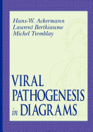Viral Pathogenesis in Diagrams