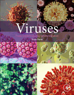 Viruses: From Understanding to Investigation