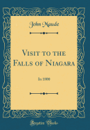 Visit to the Falls of Niagara: In 1800 (Classic Reprint)