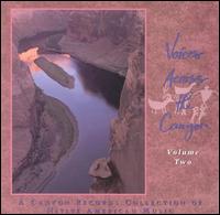 Voices Across the Canyon, Vol. 2 - Various Artists