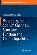 Voltage-gated Sodium Channels: Structure, Function and Channelopathies