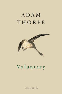 Voluntary - Thorpe, Adam