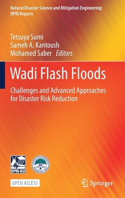 Wadi Flash Floods: Challenges and Advanced Approaches for Disaster Risk Reduction - Sumi, Tetsuya (Editor), and Kantoush, Sameh A (Editor), and Saber, Mohamed (Editor)