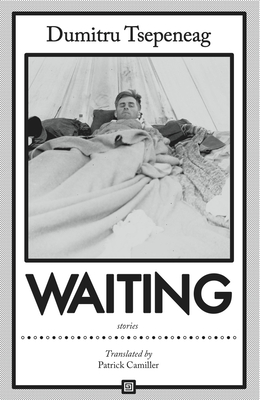 Waiting: Stories: Stories - Tsepeneag, Dumitru, and Camiller, Patrick (Translated by)