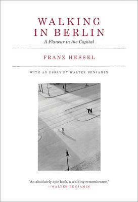 Walking in Berlin: A Flaneur in the Capital - Hessel, Franz, and Benjamin, Walter (Introduction by), and DeMarco, Amanda (Translated by)