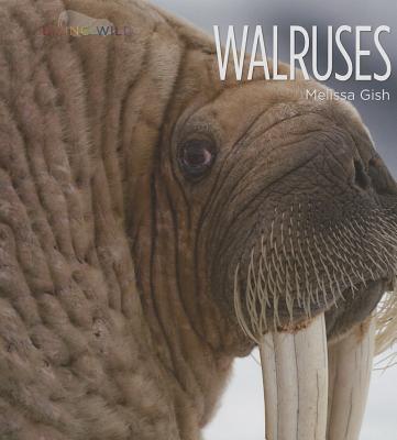 Walruses - Gish, Melissa