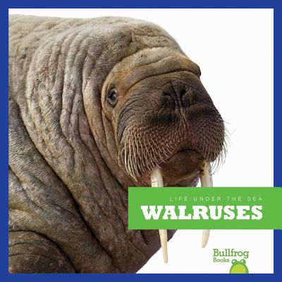 Walruses - Meister, Cari