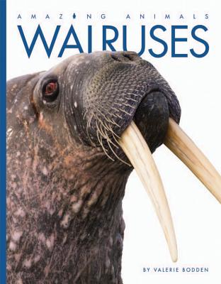 Walruses - Bodden, Valerie